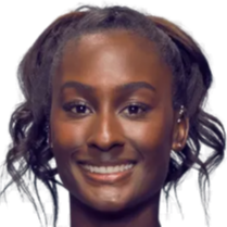 的技不如人 的技不如人